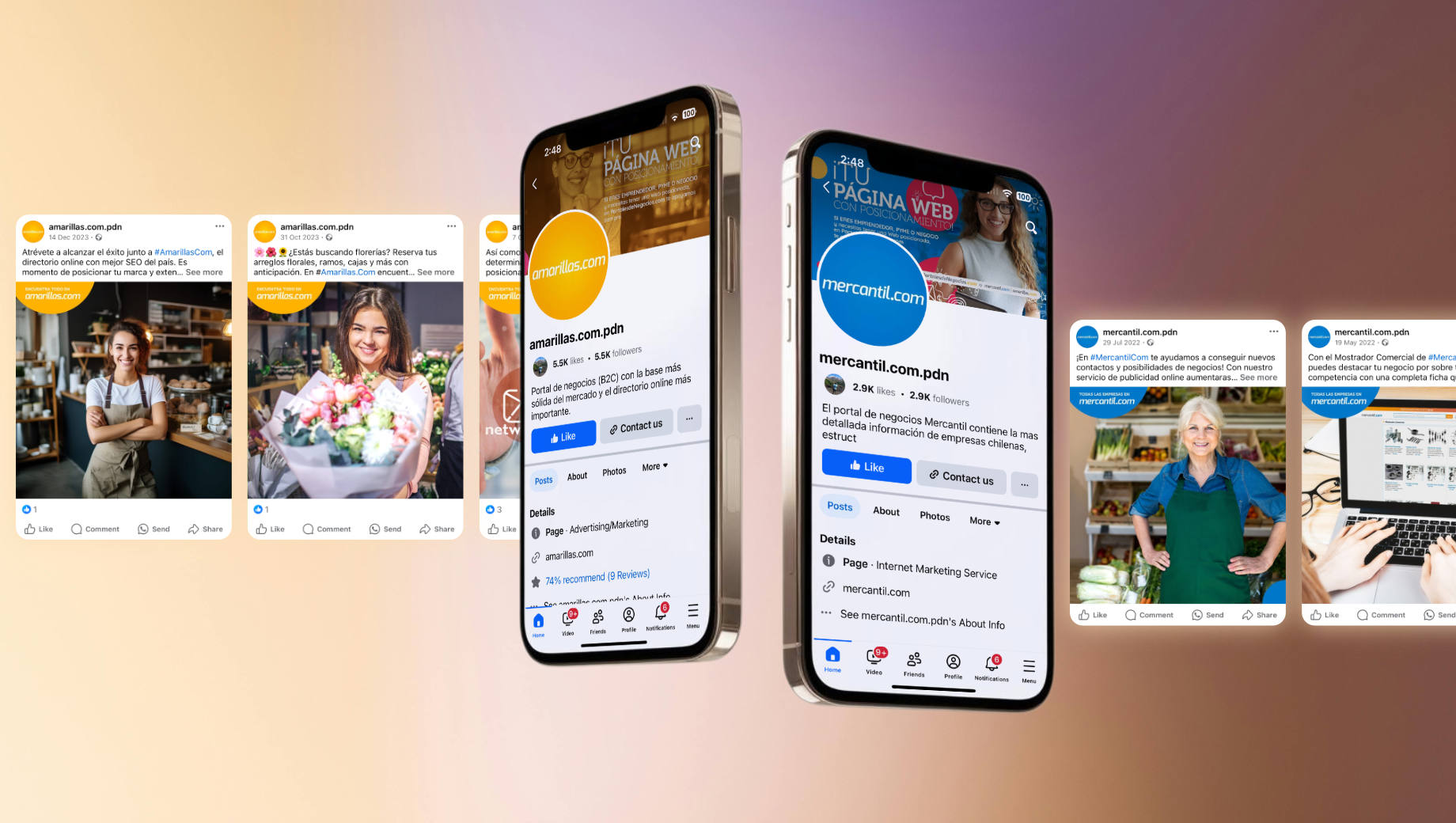 Social Media | Ringeling Creativo